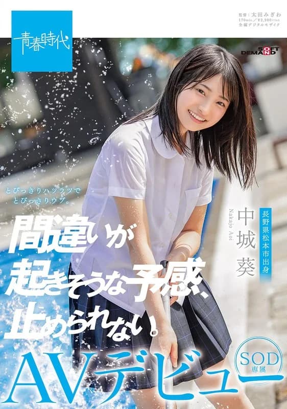 SDAB-114 Reduce Mosaic – Kui Zhongcheng 中城葵