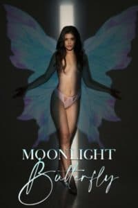 Moonlight Butterfly 2022