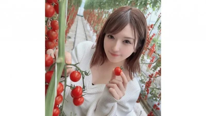 FC2-PPV-4615614 ~ Vol.50 ~ Limited time and quantity sale  Limited price of 5980 points for 3 days! That popular series  A vivid creampie video is released all at once! Bonus video 3 hours 50 minutes included