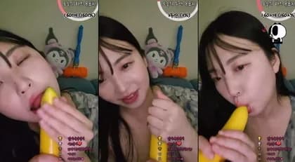 KBJ-24040919 KBJ240409-310_Dotamee_2021205